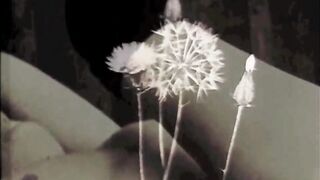 Pornostalgia, Vintage Lesbians