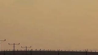 Oh Nice To Meet You - Brandi Love (Abigail Mac)