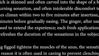 Sensual anal figging massage