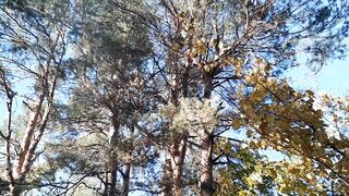 Sex after party - Lesbian_illusion