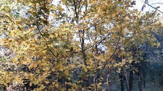 Sex after party - Lesbian_illusion