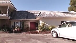 Sweet Asian Kitten with a Cougar. J.L.