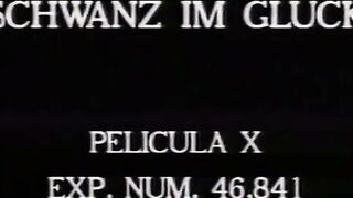 Schwanz im Glück - a german vintage movie from 1993 (spanish dubbed)