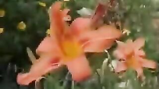 mature fat lesbian outdoor lingerie nylon anal 18