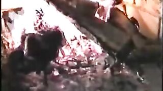 Xana & Lola - Christmas Time by Portuguese Women.