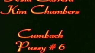 Asia Carrera and Kim Chambers Threesome