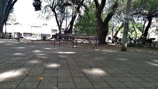 playing with the lush in the park