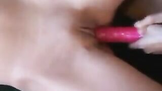 Z44B 133 Wild Lezs 2