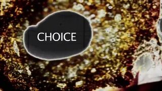 Bite Sc5 Passion, Leila Bee, Kelly McGregor, Katie K.