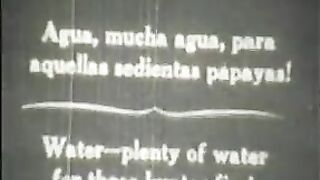 vintage - threesome circa 1950 Spain