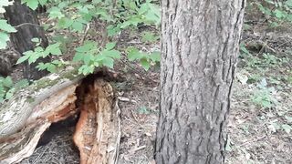 Exhibitionist girl in the forest masturbated for sex with my girlfriend - IkaSmokS