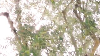 anonymous sex is always best on vacation orgasm blowjobs anal pov