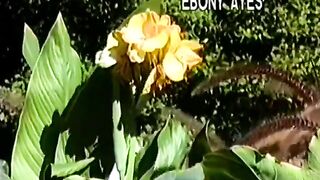 Beverlee and Ebony (Ebony Ayes, Beverlee Hills)