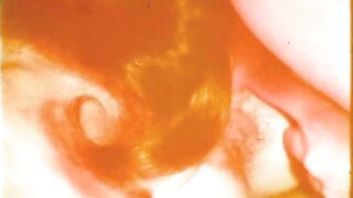 My Secret Life, Vintage Bisexual Threesome