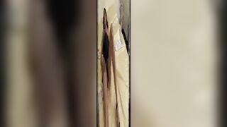 a BBC dildo in making crazy this two MILFs