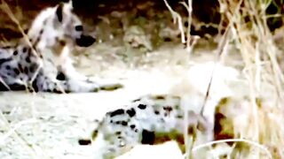 Bandits - Suspenseful action sex thriller, sex between women