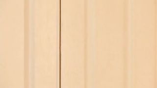 Ariel & Aiden: Hardcore Spanking