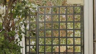 Ela Darling and Missy Martinez are tattooed lesbians