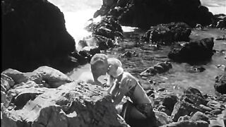 The Babysitter (1969)