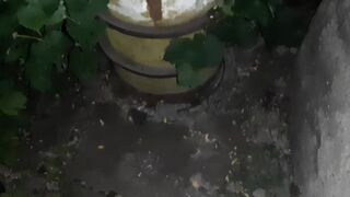We fucked in my parents yard while they were in the house - Lesbian_illusion