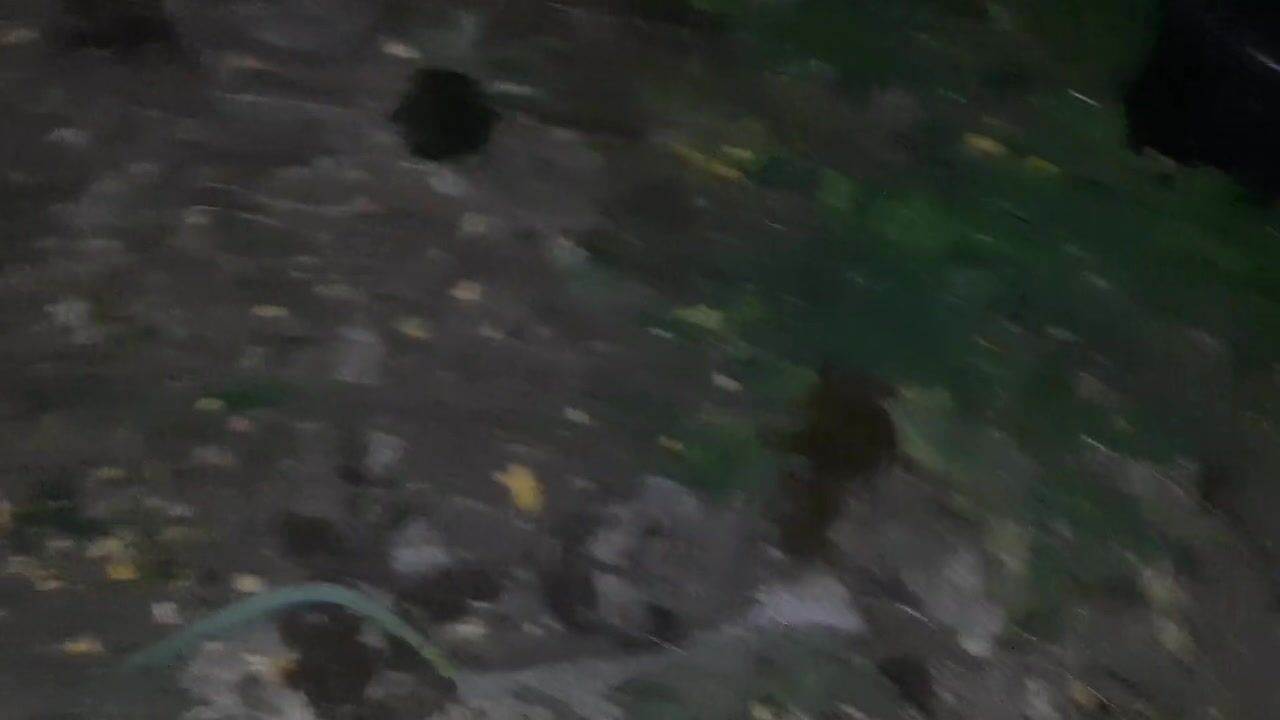 We fucked in my parents yard while they were in the house - Lesbian_illusion  - Lesbian Porn Videos