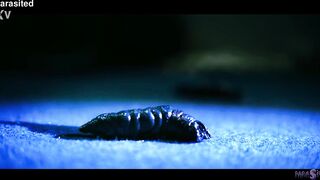 Alien Parasites - Extreme rough lesbian threesome with Amirah Adara, Tiffany Tatum & Veronica Leal