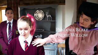 The Cane and the Curious