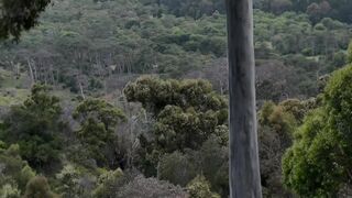 Dominatrix Mistress April - Slave Rose little man