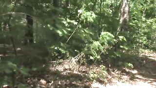 Tit Sucking In Forest