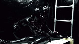 Learning about humanoids