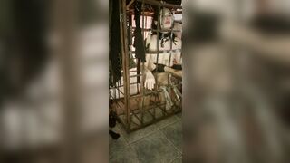 Lesbian Femdom Bdsm Session, Pee on Slave Face- Kinkydollxxxx