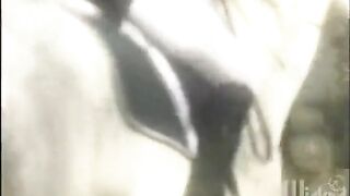 Class Act Sc6, Stormy Daniels