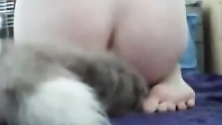 Sexy nerd with horse cock dildo!