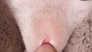 Small asian girl and her furry girlfriend with bigger boobs - Furry - Wild life - FPOV - Lesbian