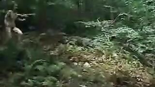 playmate of the apes