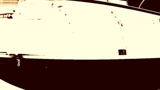 LZPL-015