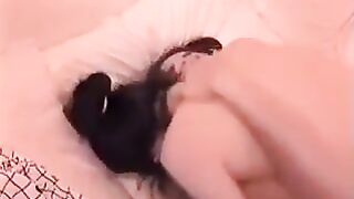 Cindy's Bed