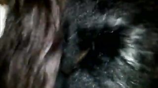 Girls Make Out in hot party