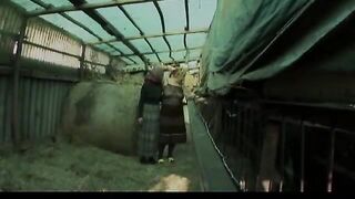 Granny Lesbians In A Horse Barn