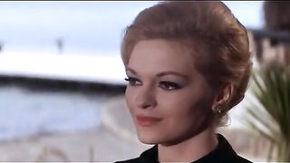 Break Free & Voce Nao Veio Porra (Felipe Ricotta)