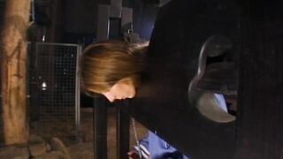 BDSM Hard Pleasure 7 (Full Movie)