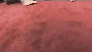 Lesbian Ass Munching