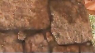 Hot Brazilian Kissing Gang