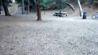 A Walk In The Park 