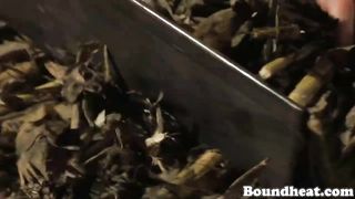 Naked And Busty Lesbian Slaves Working Hard