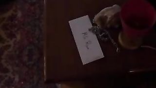 The Private Investigator 