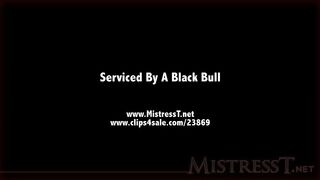 milf fucks super black cock