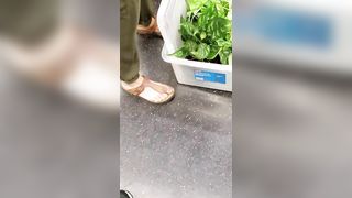 Candid lesbian feet 1