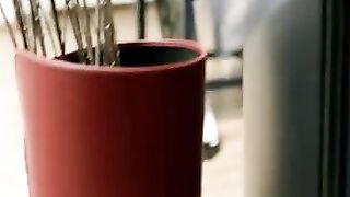 Sandra Ceccarelli & Francesca Inaudi - Il Richiamo (2009)