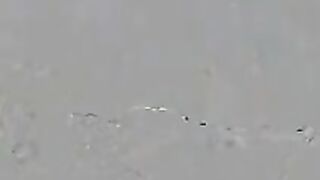 Lesbian BDSM bound woman is whipped by sadistic guard